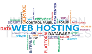 Website Hosting